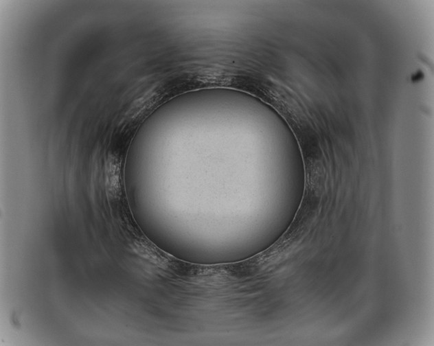 X0000098141154200804241707
