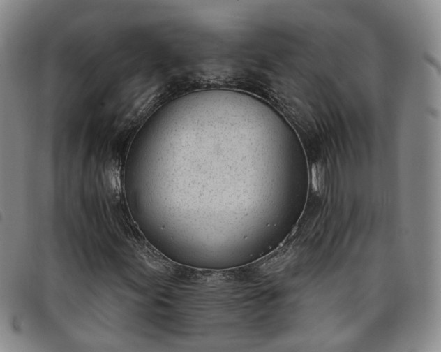 X0000098141155200804241707