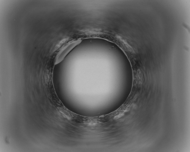 X0000098141157200804241707