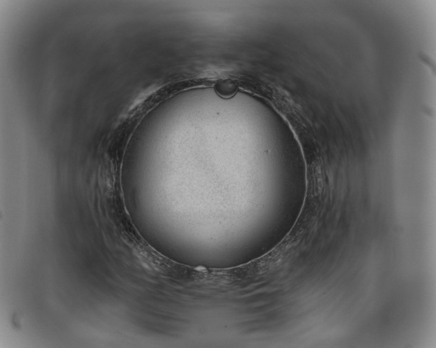 X0000098141158200804241707