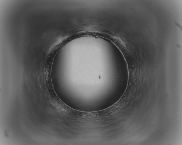 X0000098141159200804241707