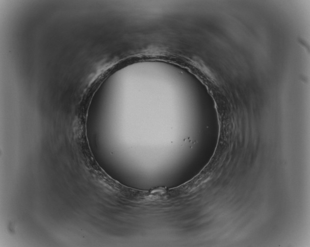 X0000098141160200804241707