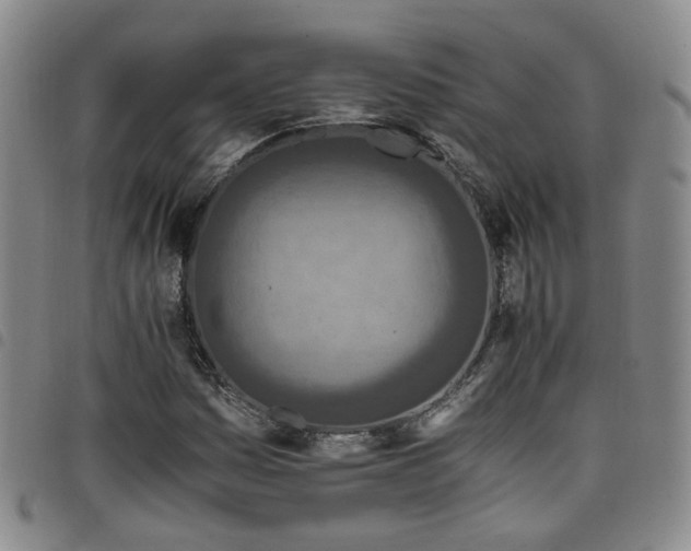 X0000098141161200804241707