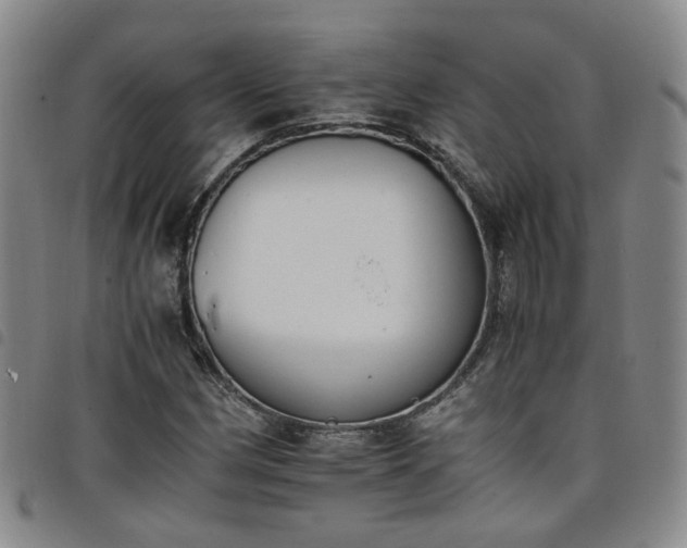 X0000098141162200804241707