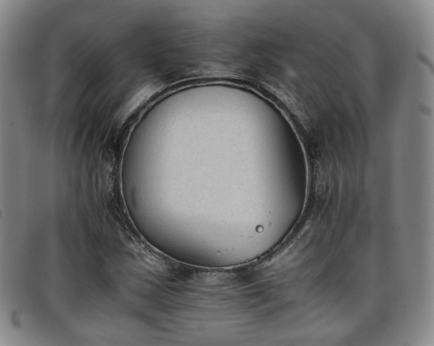 X0000098141163200804241707
