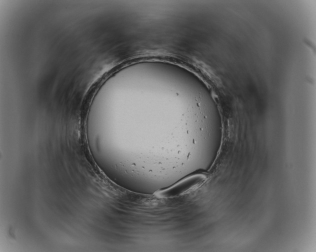 X0000098141165200804241707