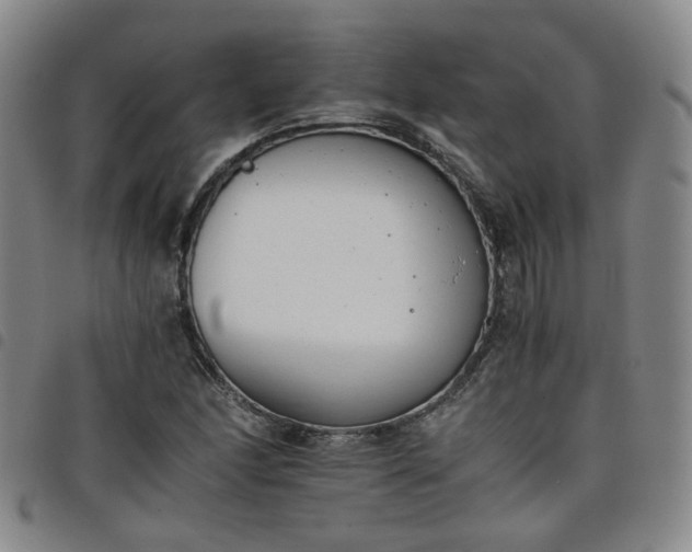 X0000098141166200804241707