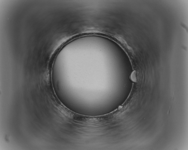X0000098141167200804241707