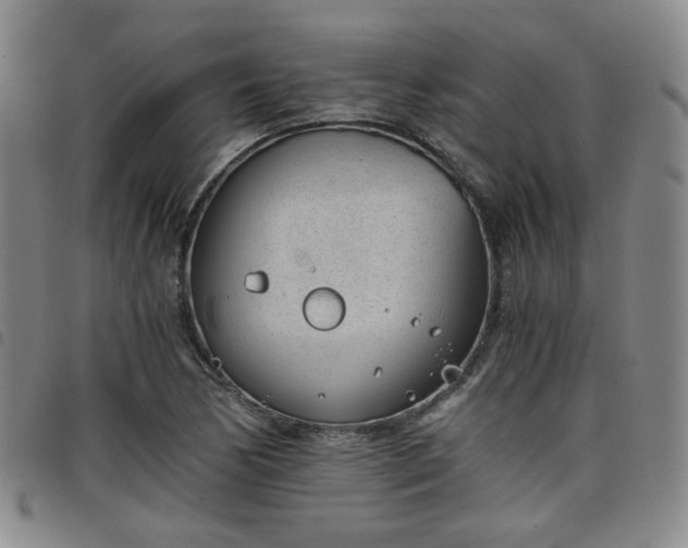 X0000098141170200804241707