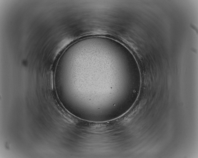 X0000098141171200804241707