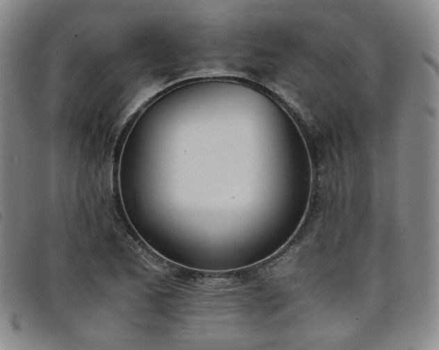 X0000098141173200804241707