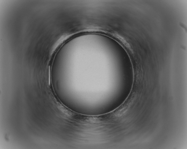 X0000098141175200804241707