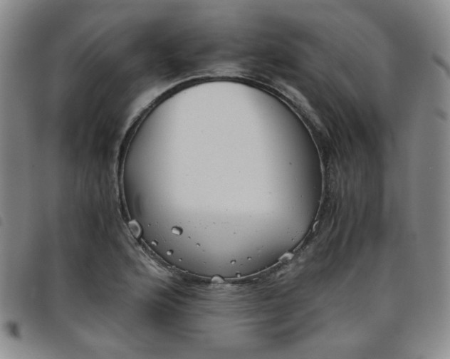 X0000098141176200804241707