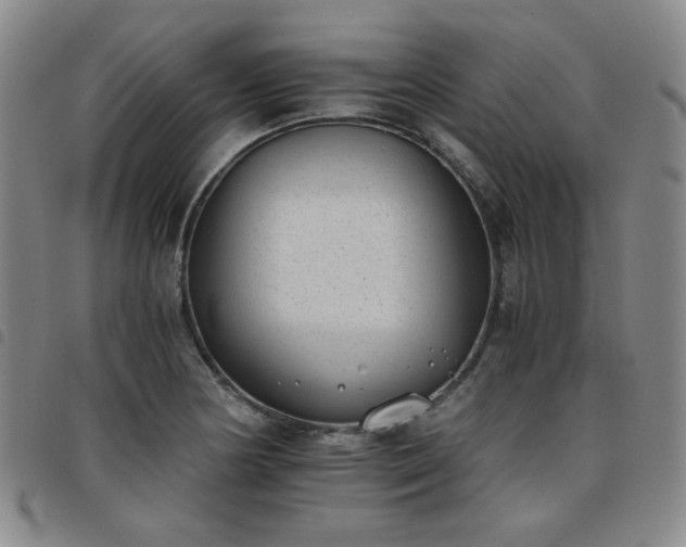 X0000098141178200804241707