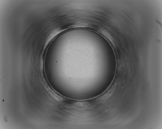 X0000098141179200804241707