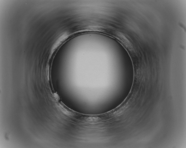 X0000098141180200804241707