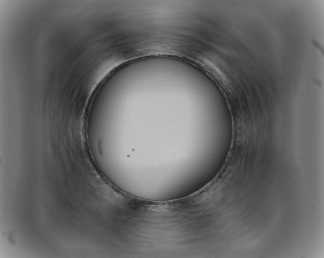 X0000098141182200804241707