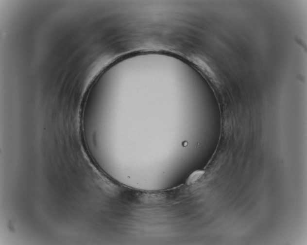 X0000098141183200804241707