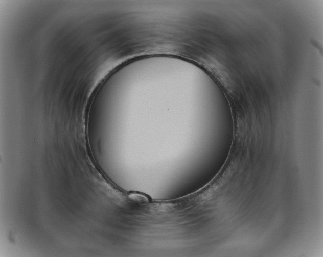 X0000098141184200804241707