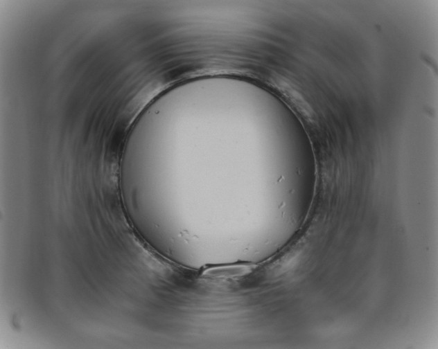 X0000098141185200804241707
