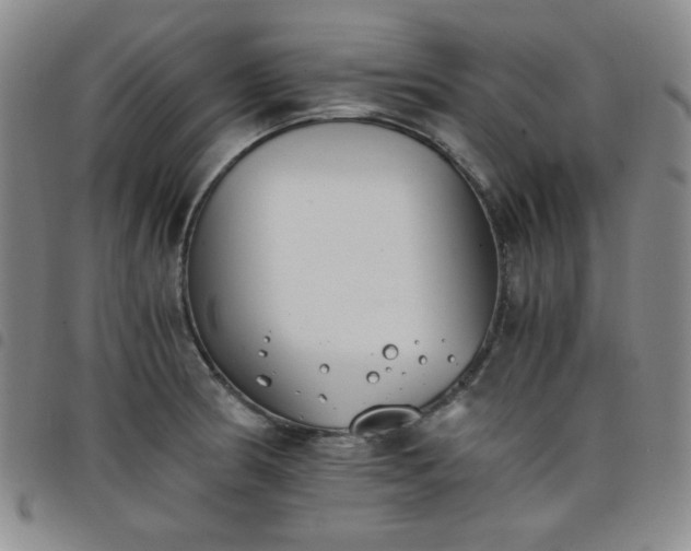 X0000098141186200804241707