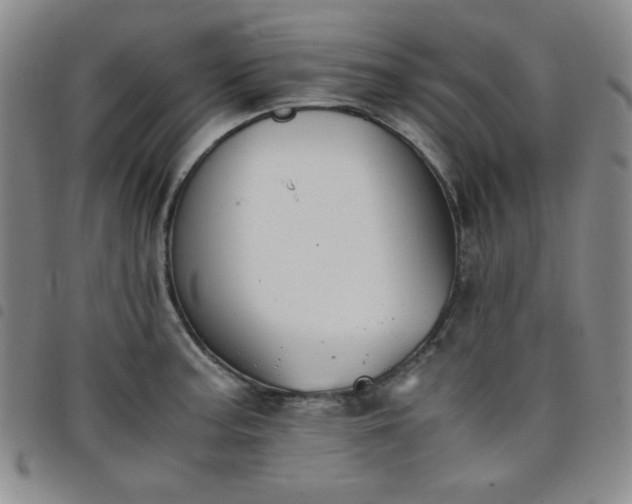 X0000098141187200804241707