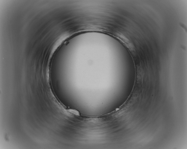 X0000098141188200804241707