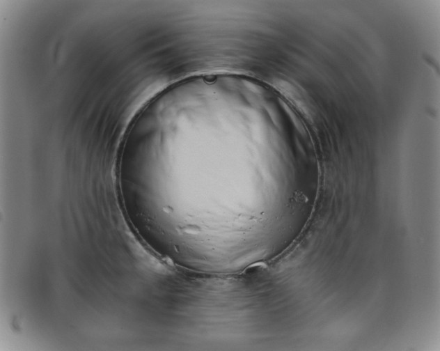 X0000098141189200804241707
