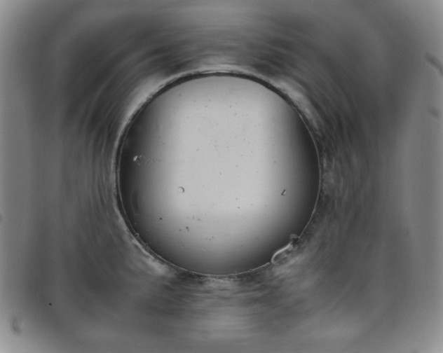X0000098141191200804241707