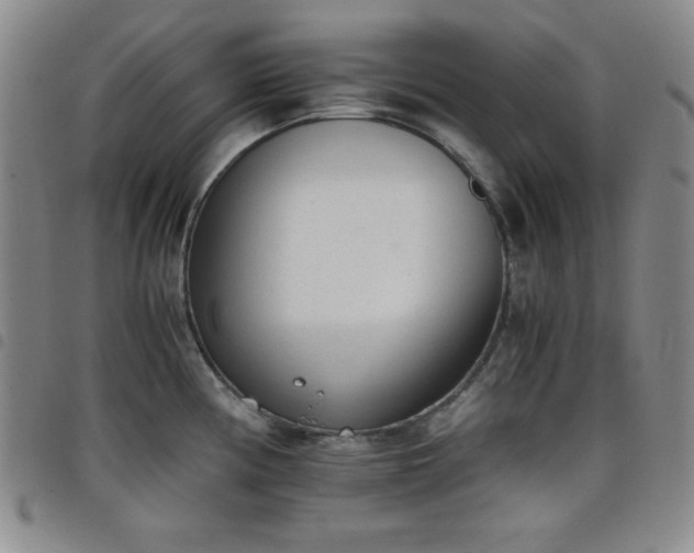 X0000098141194200804241707
