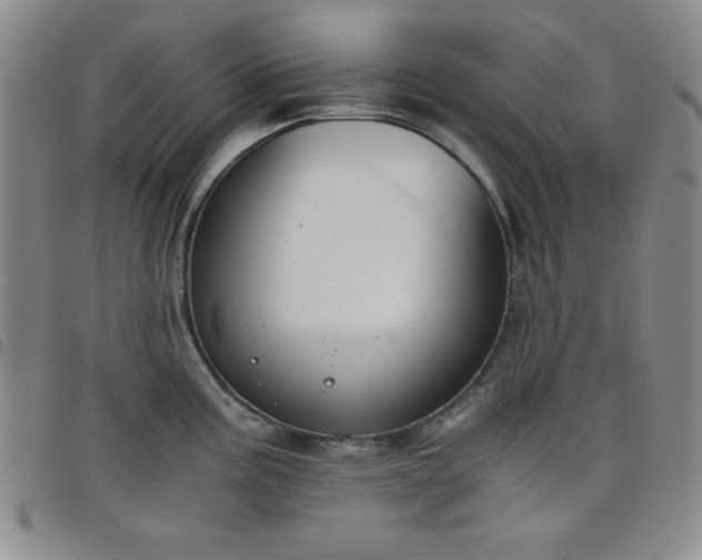 X0000098141195200804241707