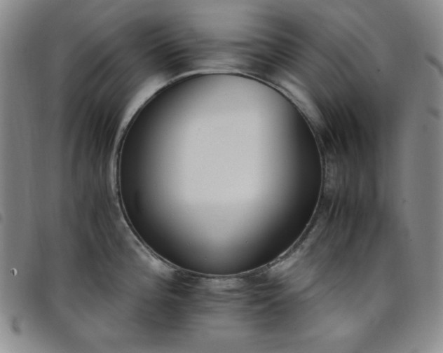X0000098141196200804241707