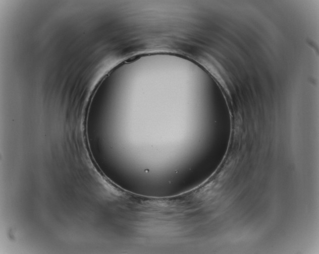 X0000098141197200804241707