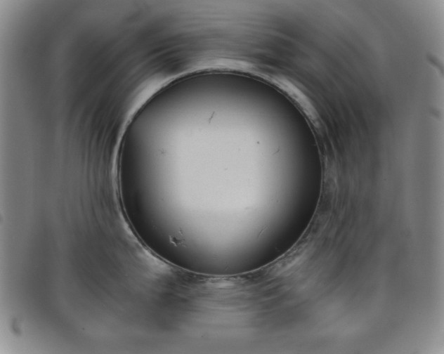 X0000098141199200804241707