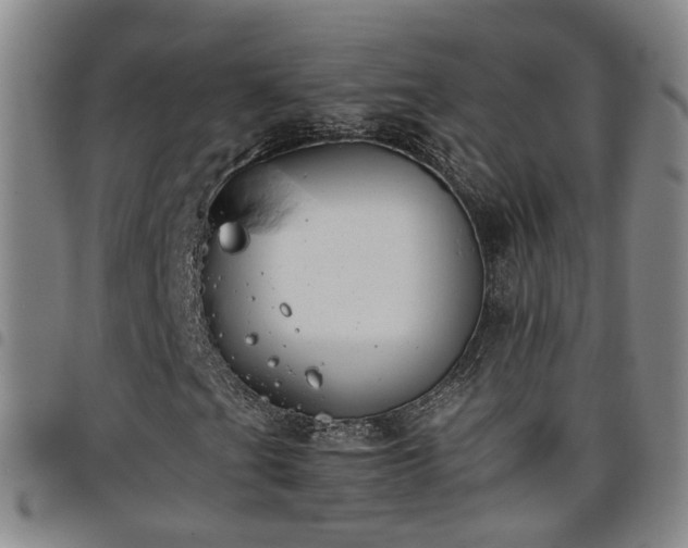 X0000098141201200804241706
