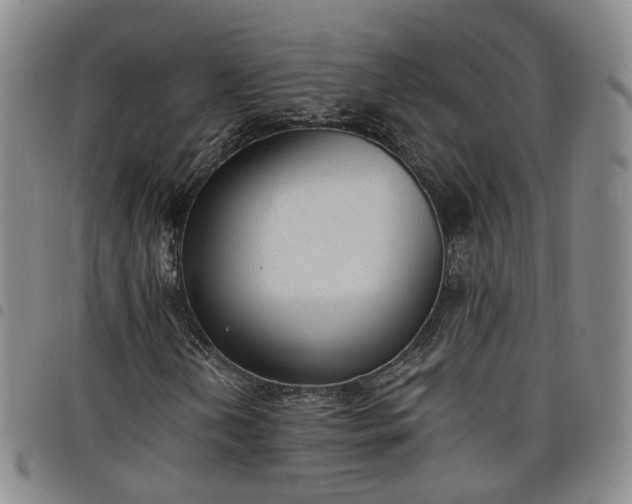 X0000098141202200804241706