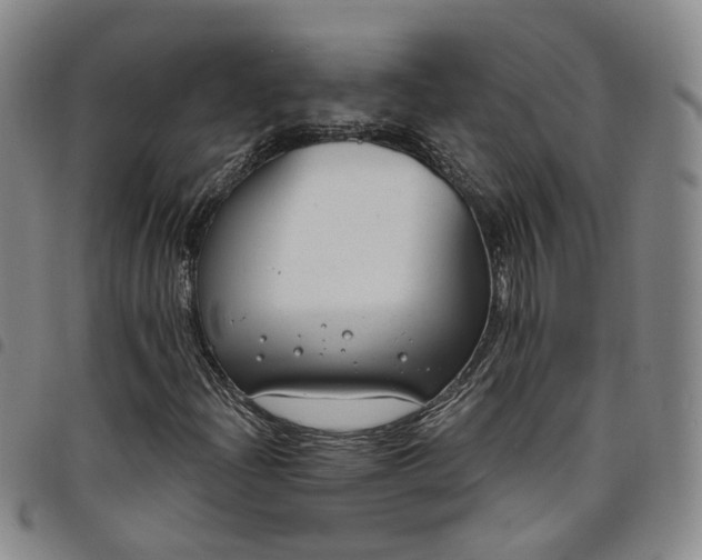 X0000098141204200804241706