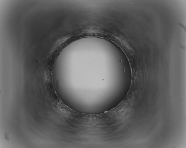 X0000098141207200804241706