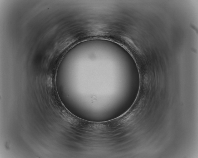 X0000098141209200804241706