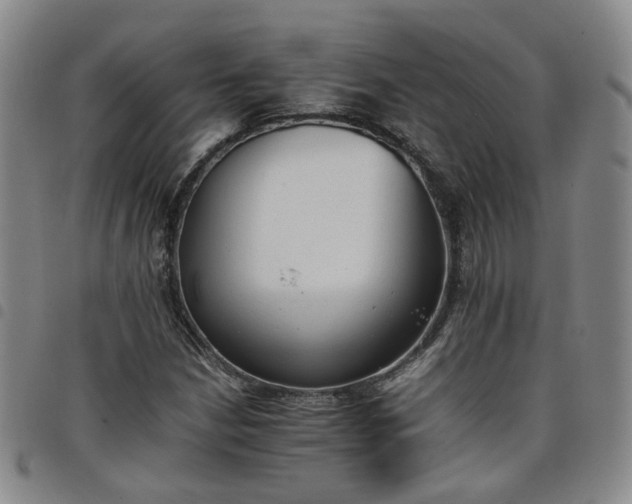 X0000098141210200804241706