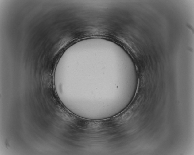 X0000098141211200804241706