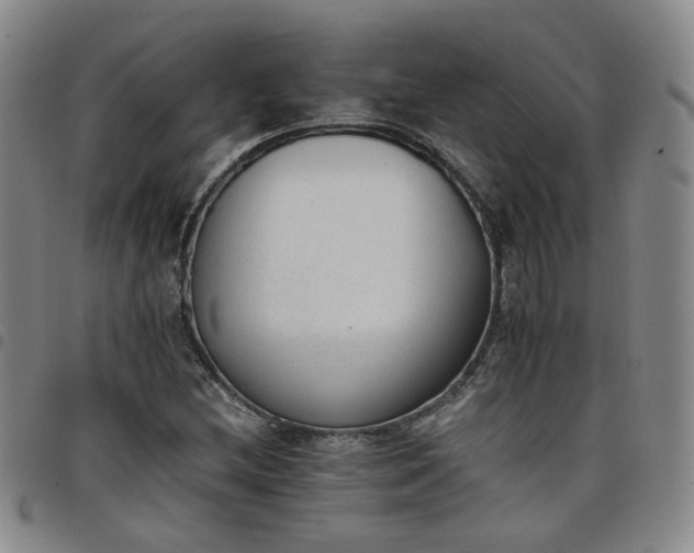 X0000098141212200804241706