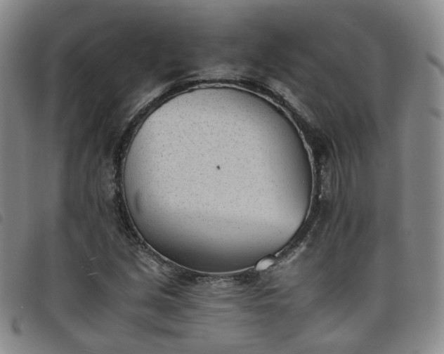 X0000098141213200804241706