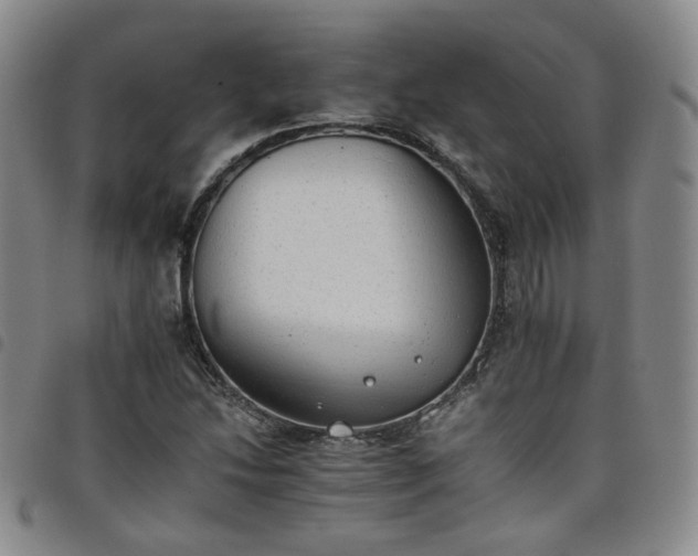 X0000098141214200804241706
