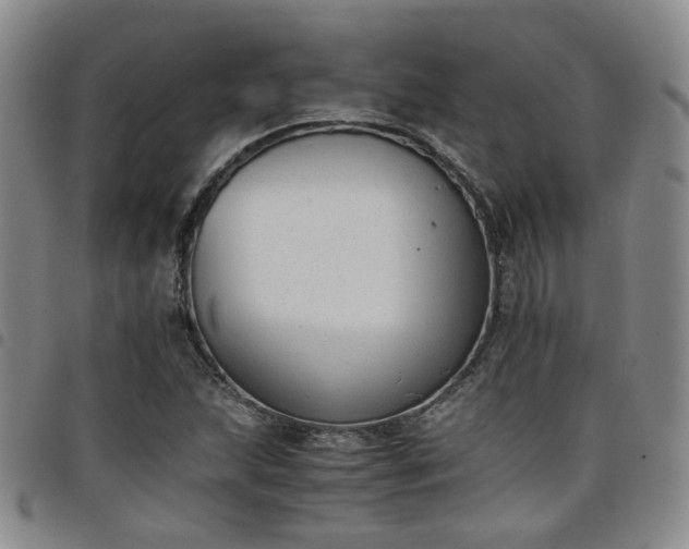 X0000098141215200804241706