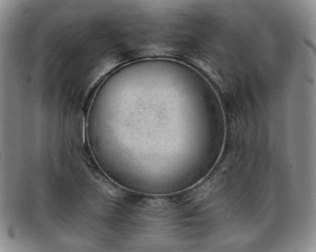 X0000098141219200804241706