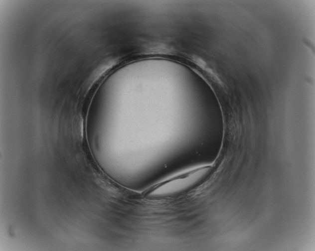 X0000098141221200804241706