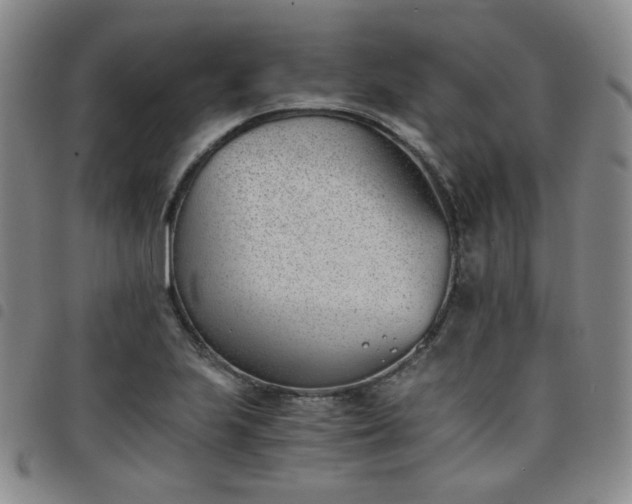 X0000098141223200804241706