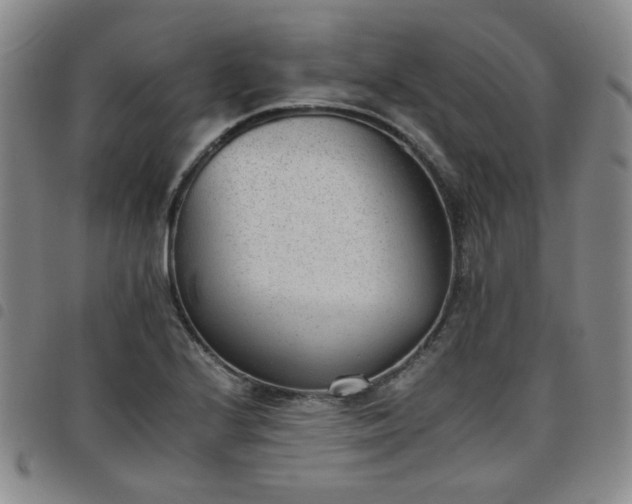 X0000098141224200804241706