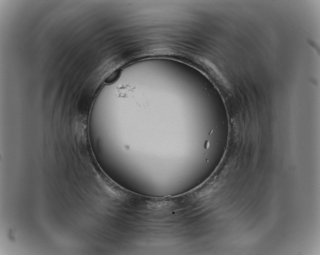 X0000098141225200804241706